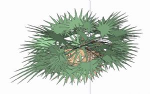 2D灌木植物SU模型