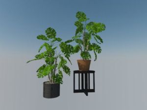 室内装饰植物SU模型