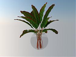 玻璃花瓶植物装饰品摆件su模型