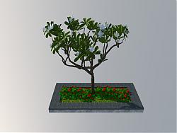中式花坛小树SU模型