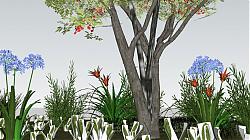 景观灌木植物SU模型