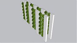 墙装饰植物SU模型
