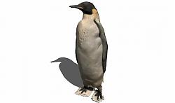 企鹅动物SU模型