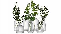 玻璃花瓶植物SU模型