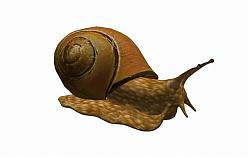 蜗牛SU模型