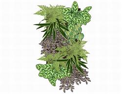绿植墙装饰植物SU模型