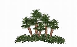 椰树配景树SU模型