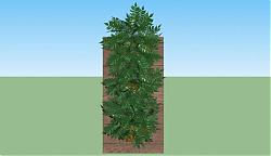 垂直绿化植物SU模型
