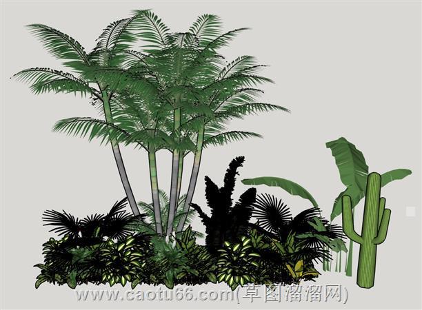 组合植物su模型 1