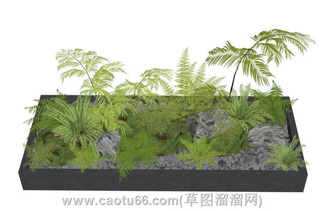 环艺蕨类植物花坛su模型 1