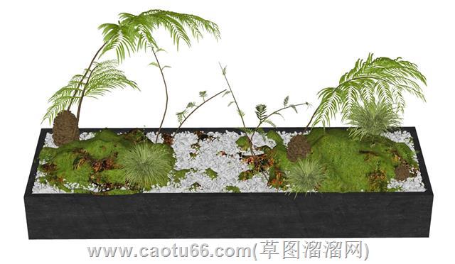 蕨类花坛植物景观su模型 1