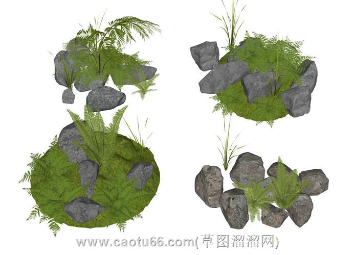 蕨类植物石头su模型 1