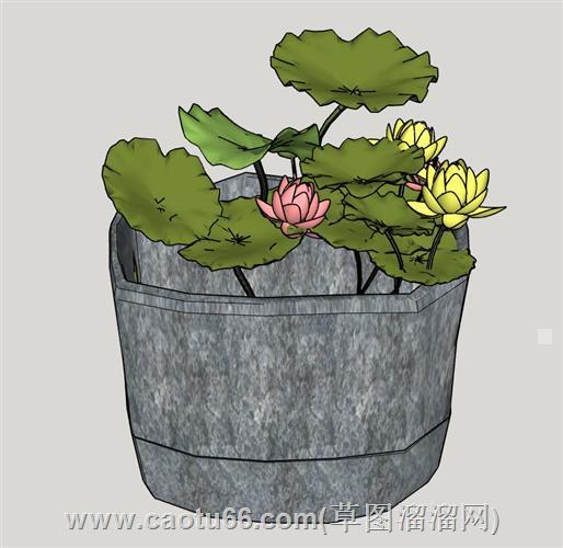 荷花水缸水池su模型 1