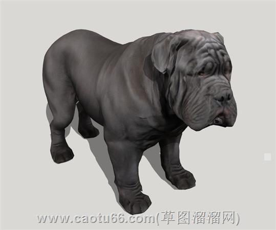 法兰西斗牛犬su模型 2