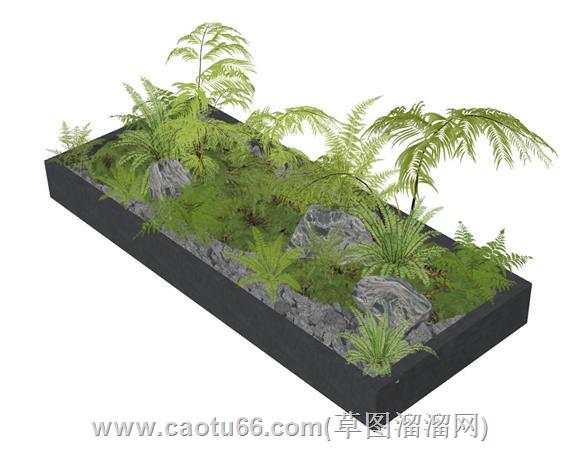 环艺蕨类植物花坛su模型 2