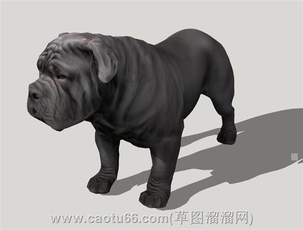 法兰西斗牛犬su模型 3