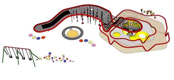 儿童游乐攀爬SU模型