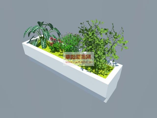 花圃花箱植物SU模型 1