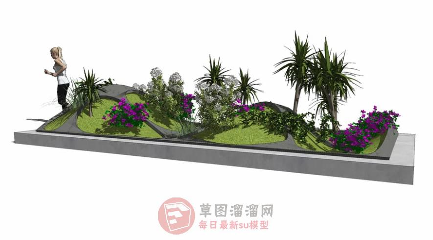 花圃花坛植物SU模型 1