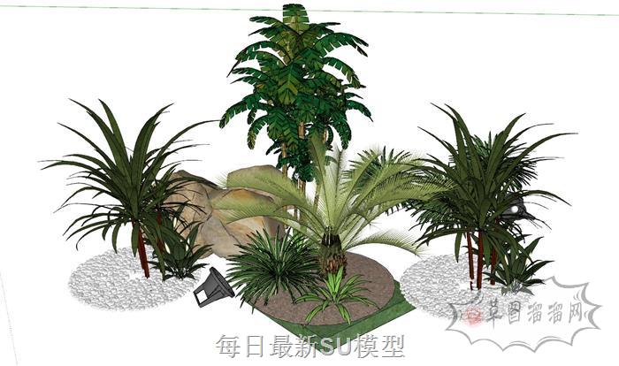 景观植物SU模型 1