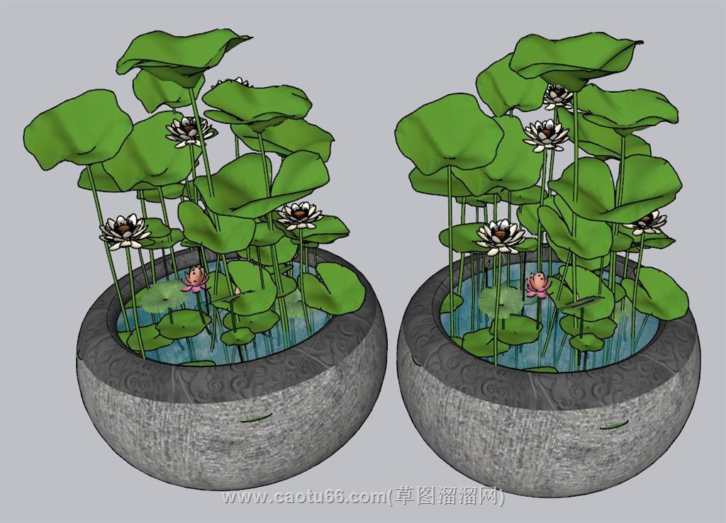 中式景观荷花池SU模型 1