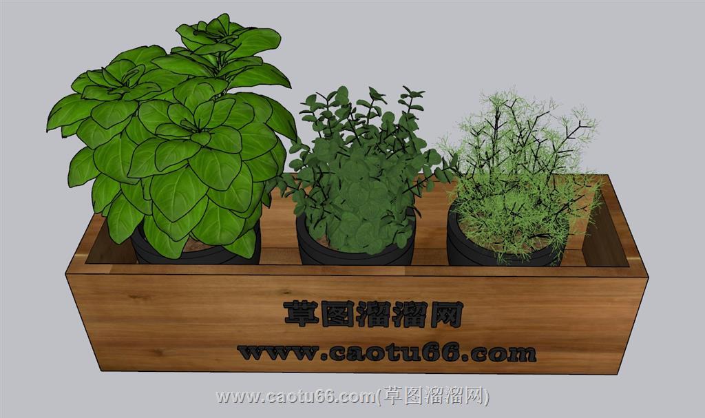 花箱花盆植物SU模型 1