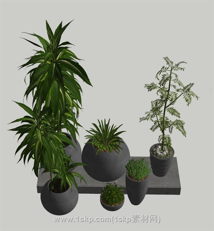 植物花盆SU模型 1