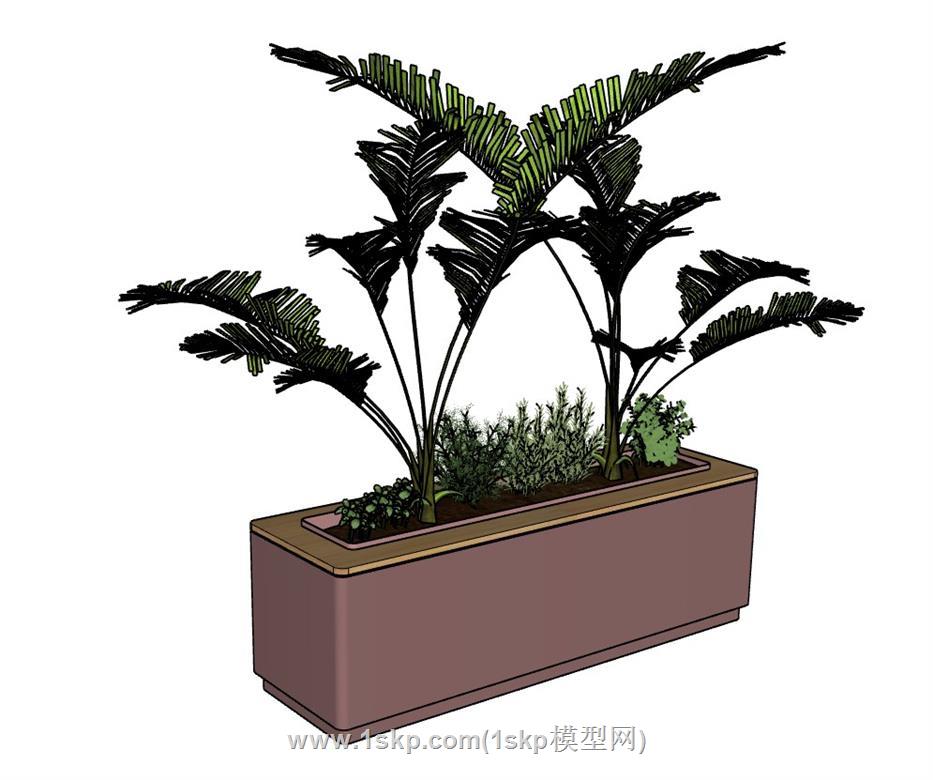 花箱植物SU模型 3