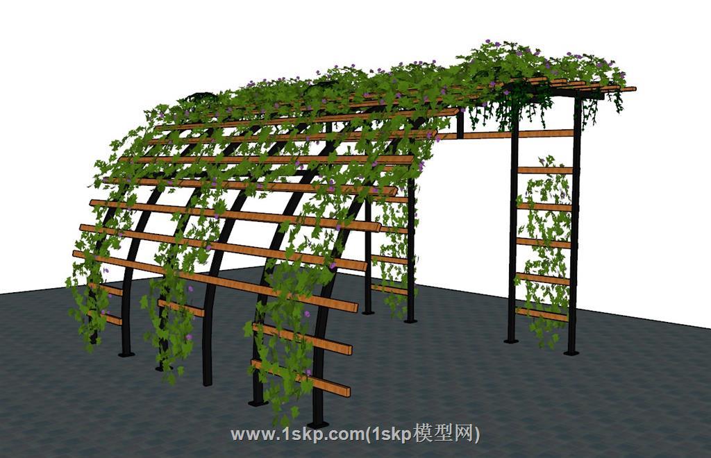 弧形廊架蔓藤爬藤植物 1
