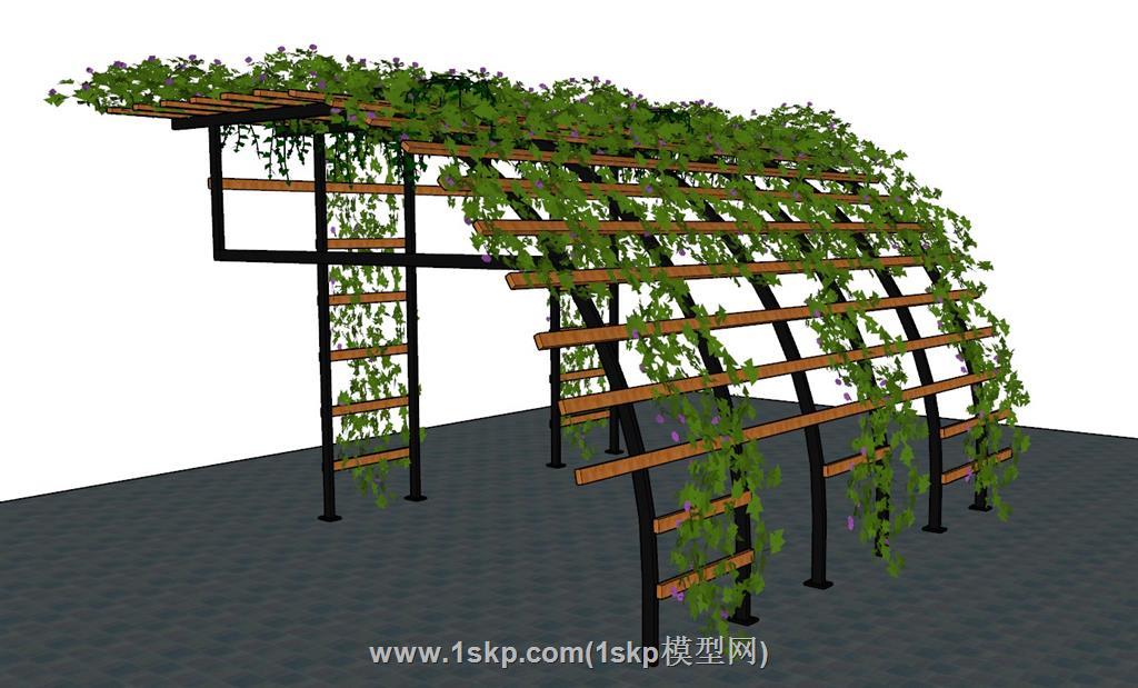 弧形廊架蔓藤爬藤植物 2