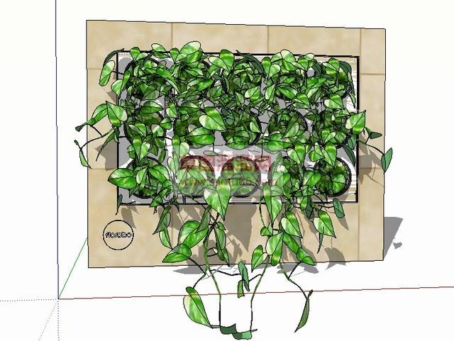 绿植架绿植墙SU模型 1