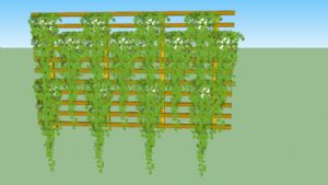 爬墙  植物  装饰  植物  架板  免费