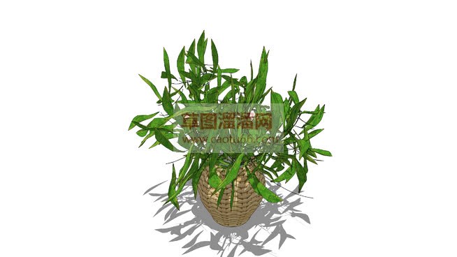 花瓶装饰植物SU模型 1