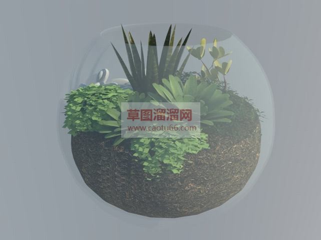 圆形玻璃花盆SU模型 1