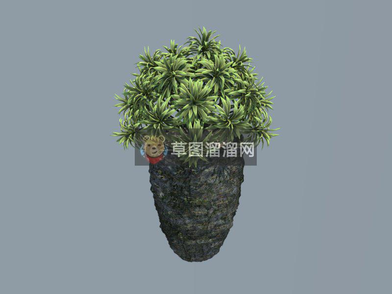 植物花盆库SU模型 1