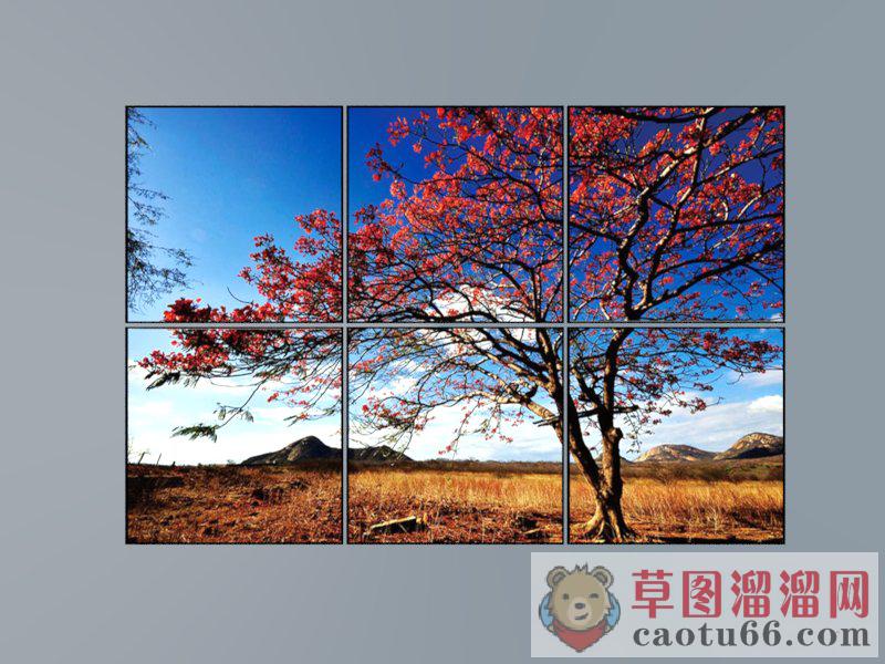 装饰画照片墙SU模型 1