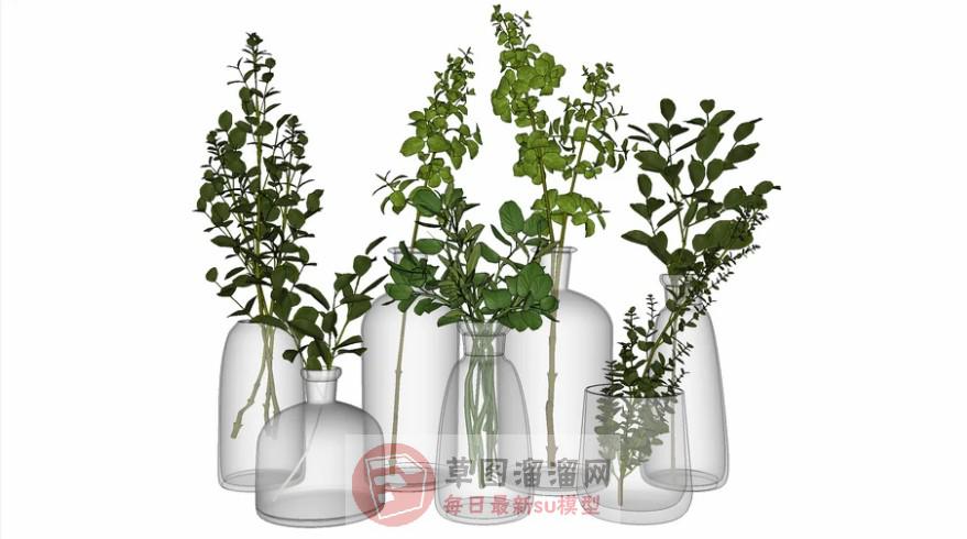 玻璃花瓶植物SU模型 1