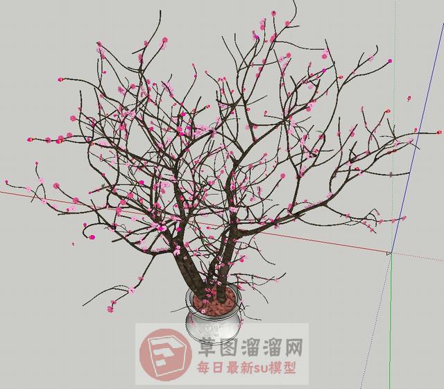 桃花插花花瓶SU模型 1