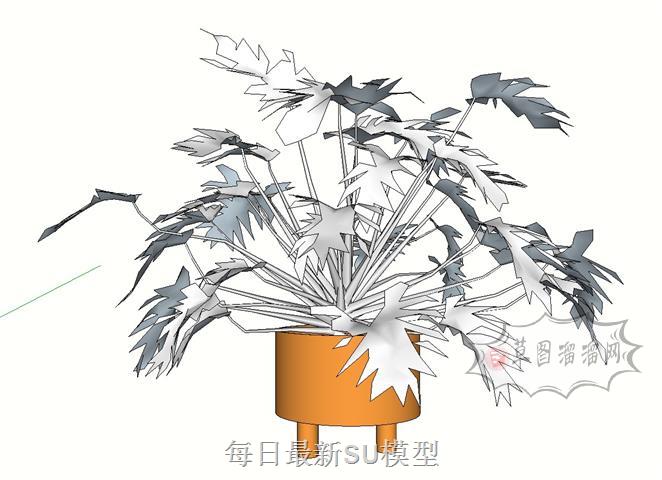 装饰花瓶植物SU模型 1