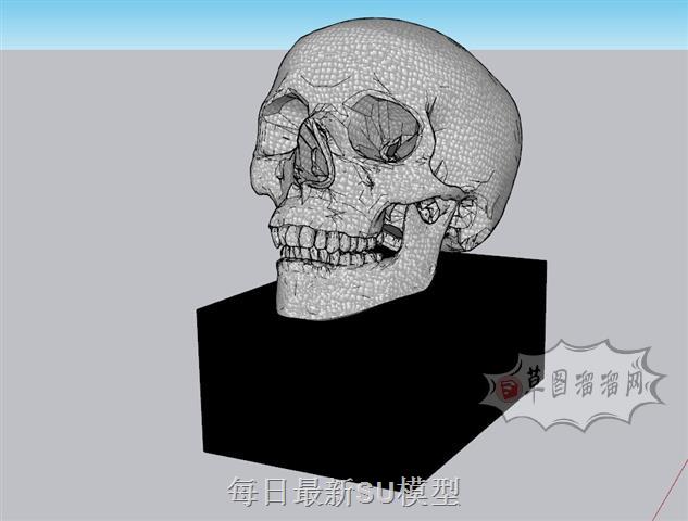 骷髅头装饰摆件SU模型 1