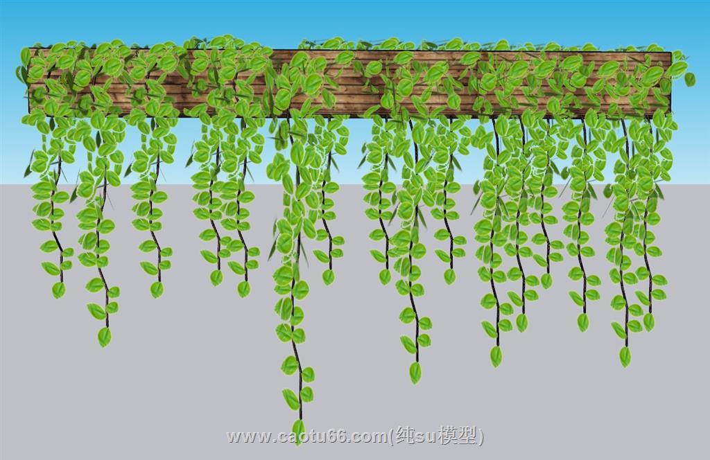 绿植墙饰摆件SU模型 1