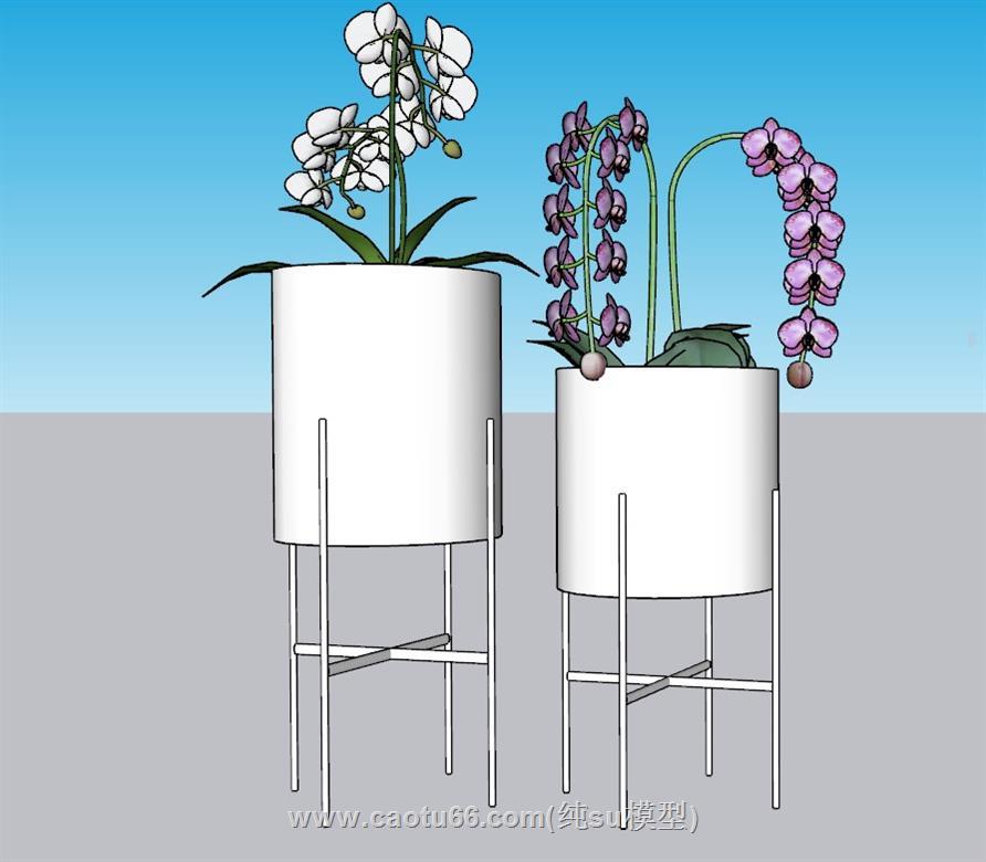 花盆装饰插花SU模型 1