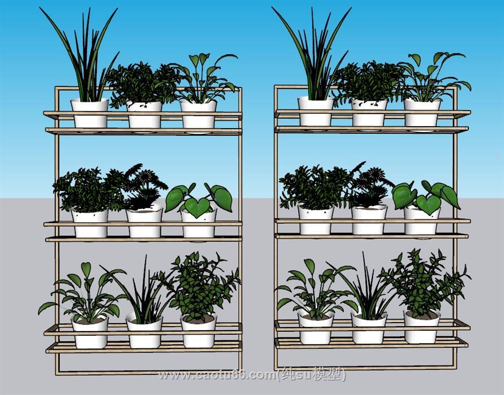 花架花盆植物SU模型 1