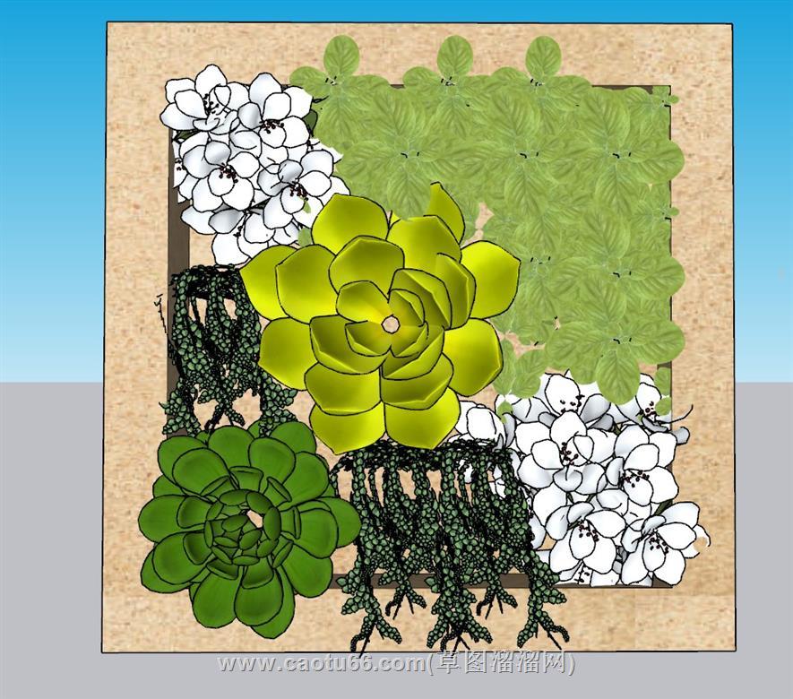 墙饰绿植墙多肉SU模型 1