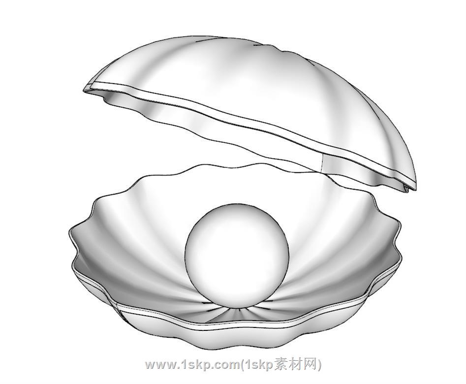 珍珠蚌壳SU模型 1