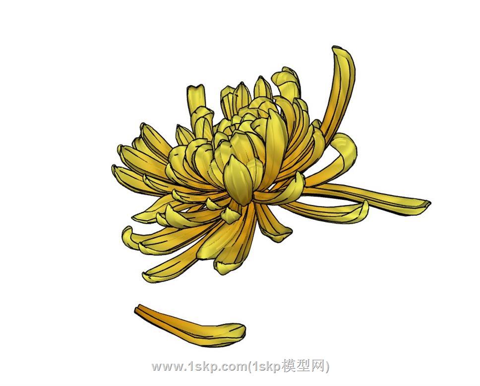 菊花花瓣工艺品SU模型 1