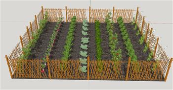 菜地菜园蔬菜SU模型 免费sketchup模型下载