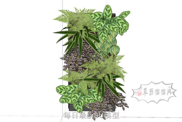 绿植植物墙装饰SU模型 1