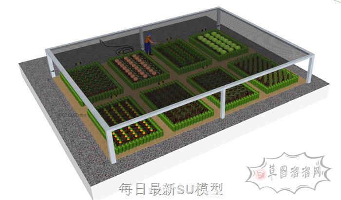 菜地菜园温室大棚SU模型 1