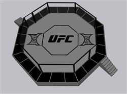 UFC  擂台  拳击  搏击